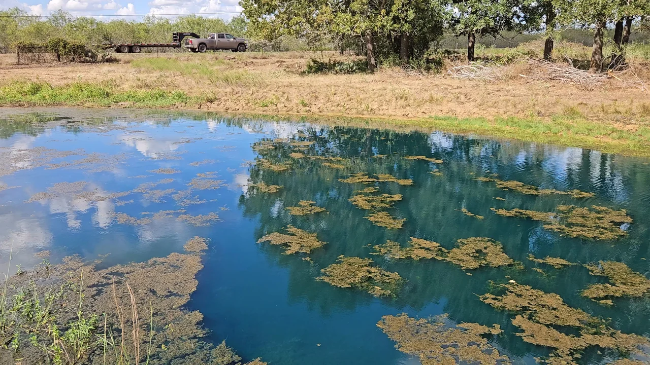 Stock tank with a dry grass bank on Jeddo Grove Ranch